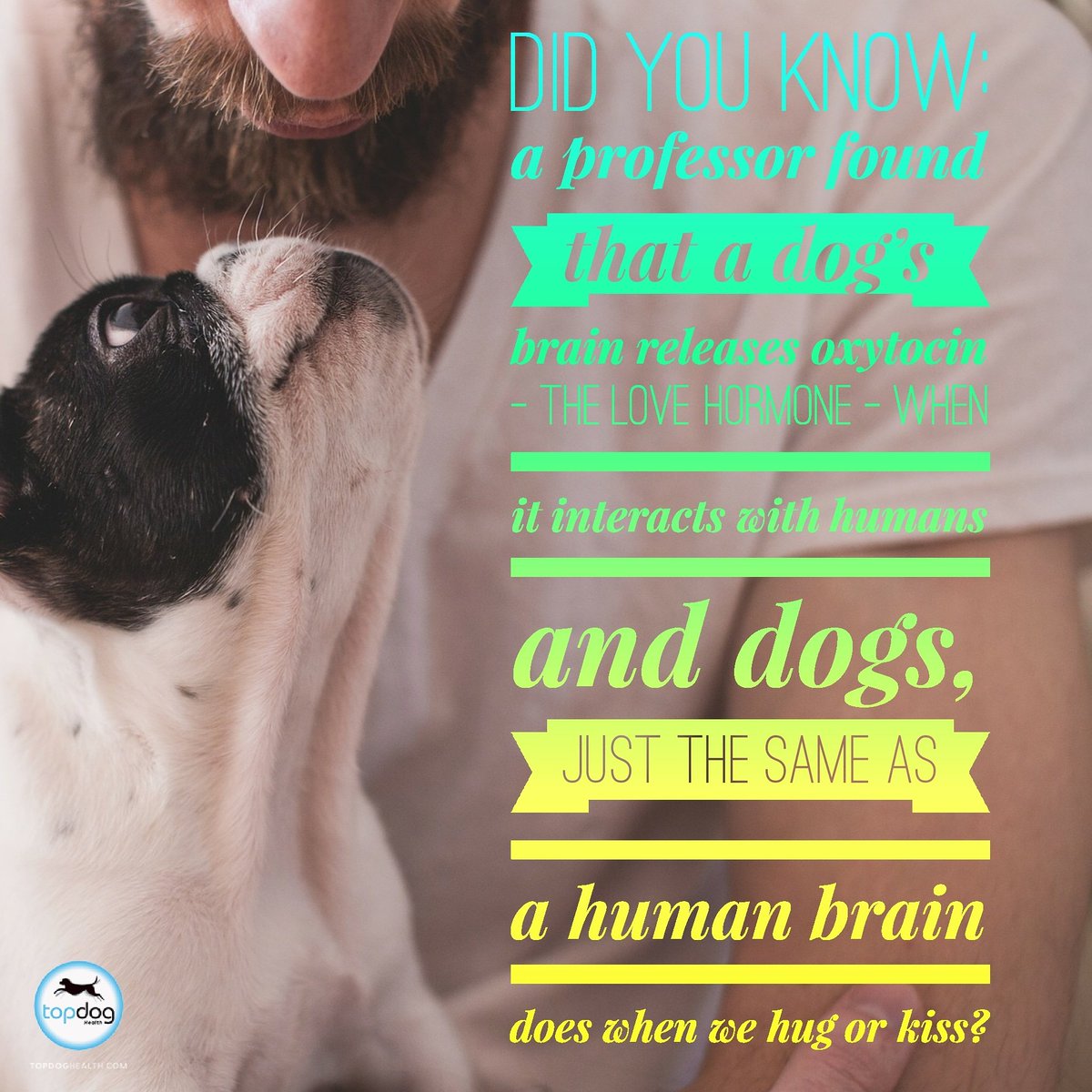 TopDogHealth's tweet image. #Valentine's Day isn't just for humans! 🐶💕💘😁