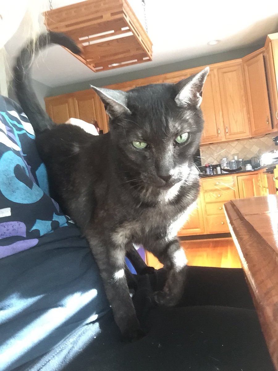 Foxtrot44's tweet image. Keeters likes to pretend he doesn’t know what personal space is.....until you hug him or hold him. Then suddenly personal space matters.