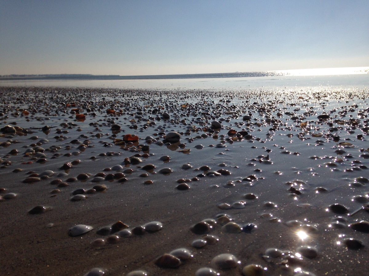 Retrouver l'océan et ses bienfaits apres notre sejour parisien. Quel bonheur 💦 - Au fait : Les offres #thermalies sont encore valables toute la semaine au 0228567214 ! Profitez-en !
