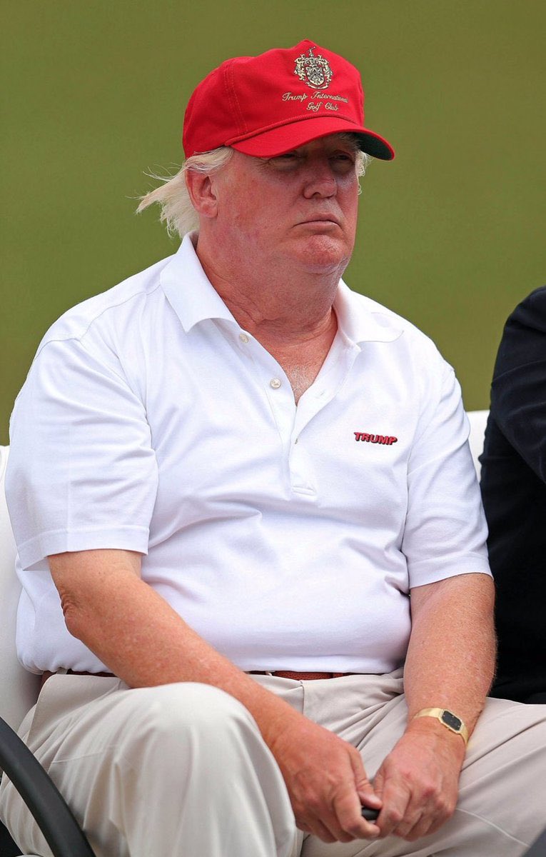 GayMafia1969's tweet photo. Even though @HillaryClinton lost the electoral vote, we still wound up with our first President with breasts. #silverlining #MAGA #misogynistinchief #toomuchexecutivetime #andgolf https://t.co/oeXoDWnfnC