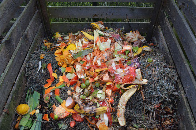 basmati_com's tweet image. Planting a Garden This Year? Check out these 7 Basic Steps For Creating A Compost Pile:
basmati.com/2016/08/08/org…