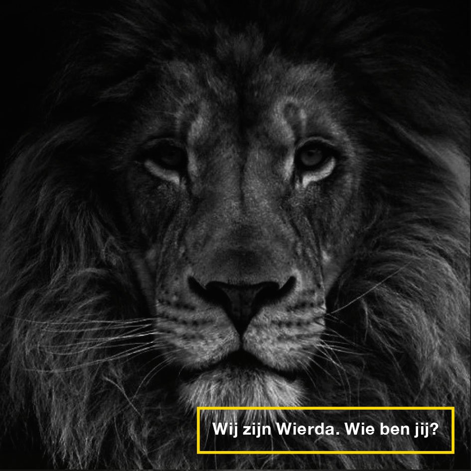 Ben jij de teamplayer die we zoeken voor onze vestiging in Joure? Kun jij goed structuur aanbrengen, heb je oog voor detail en hou je van systematisch werken? Bij Wierda Voertuig Techniek zijn wij opzoek naar een Receptionist+.  Voor meer info: werkenbijwierda.nl