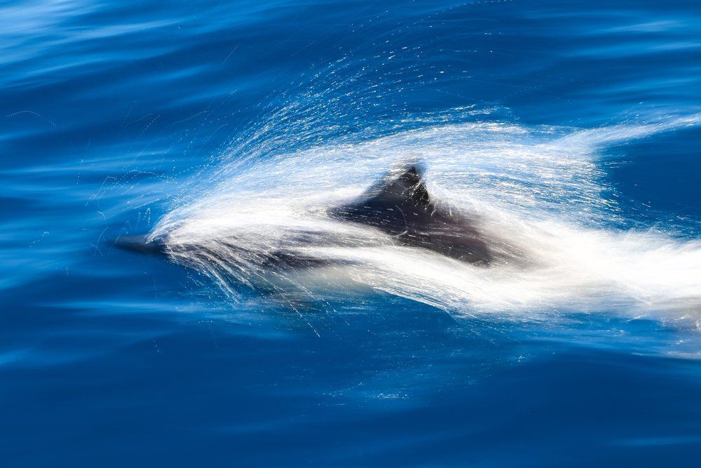 Fin_Revolution's tweet photo. A whale of a week for deals and capital raisings. See The FR #fintech @ducotweets @wefoxHQ #AI

https://t.co/hk2sKtcH5j https://t.co/g3zlQfNJyH
