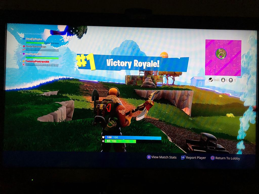 DeadlyPsyko's tweet - "One kill victory Royale. Lol ... - 1024 x 768 jpeg 124kB