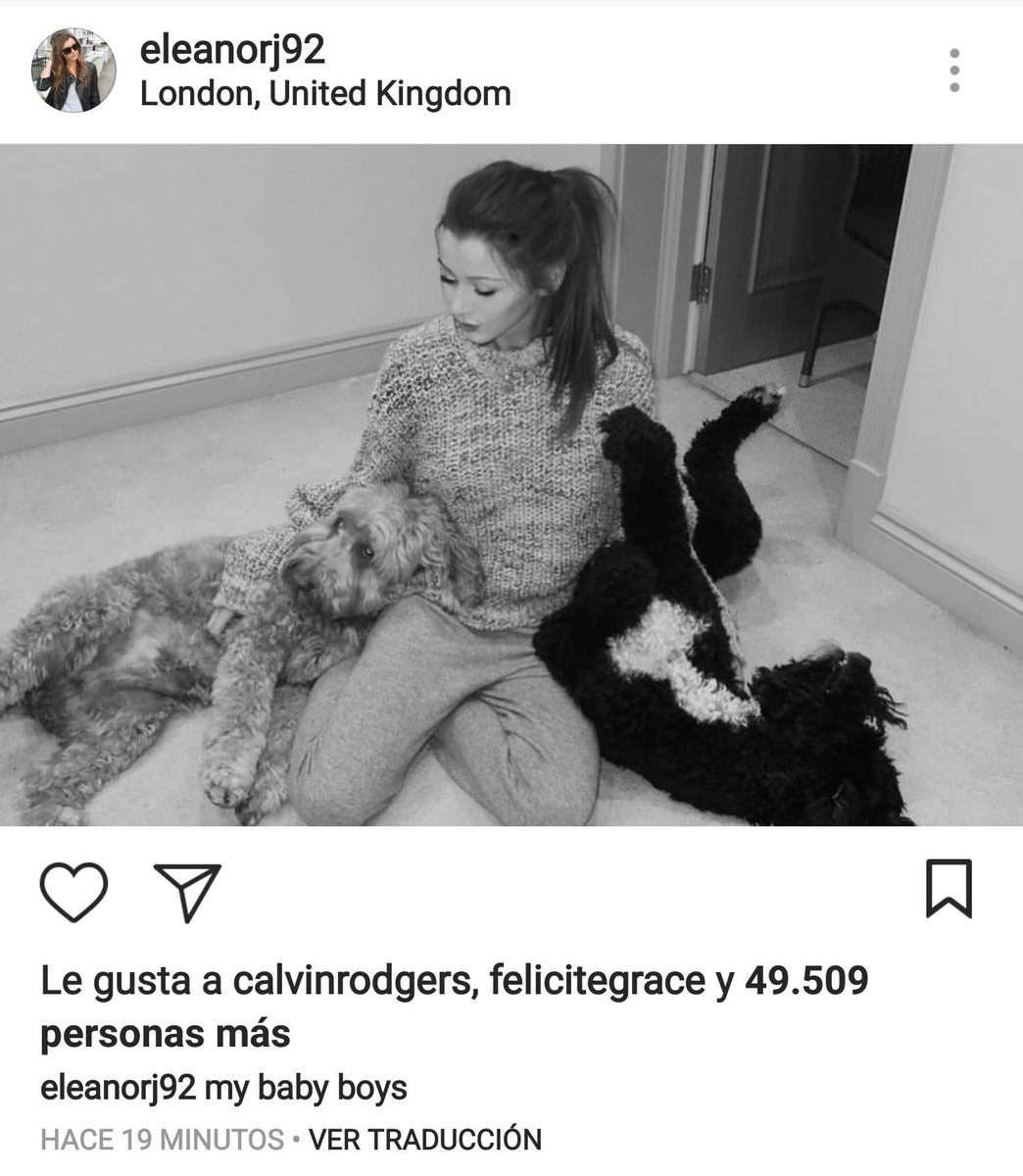 ltsogolden's tweet photo. Always the same shit https://t.co/uTggkyIeeo