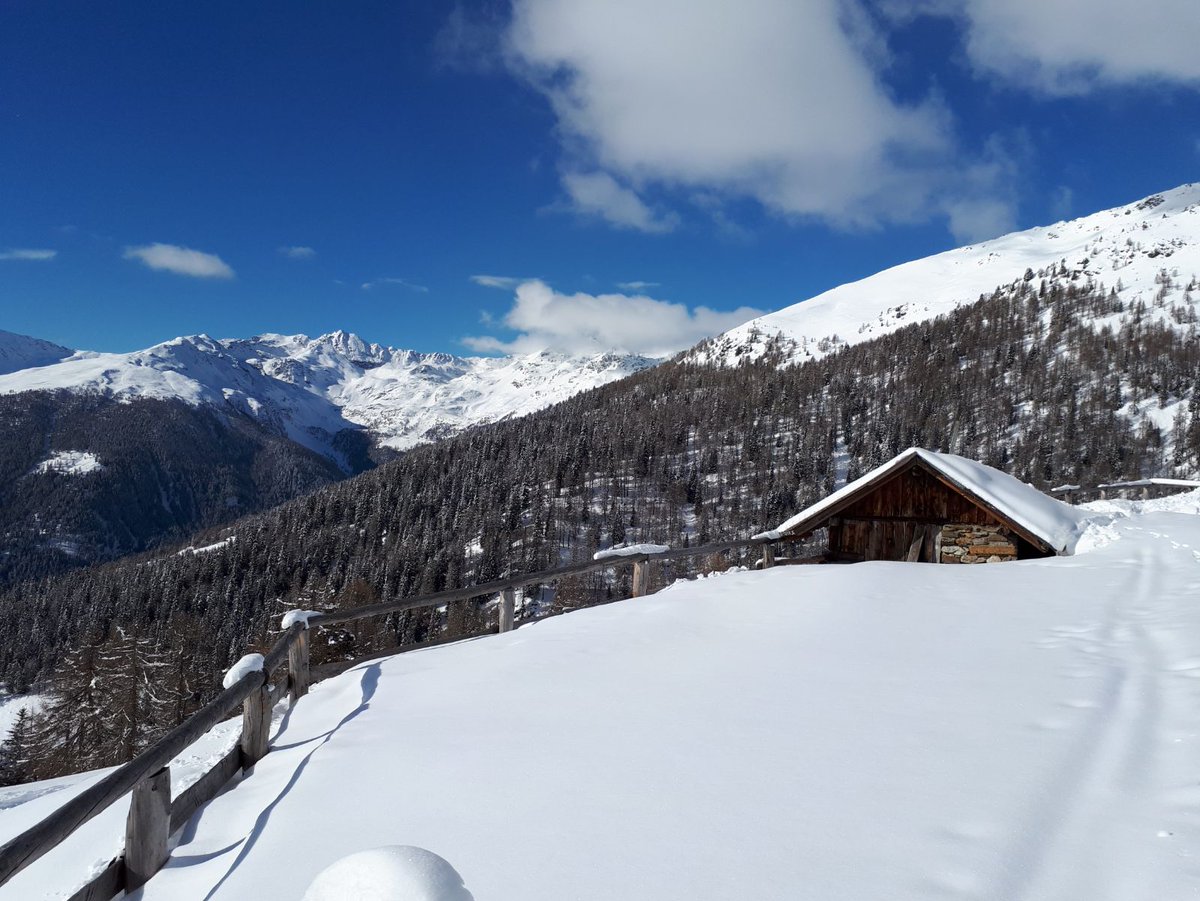 AptValdiSole's tweet photo. Come spiegare il concetto di #libertà, utilizzando un'immagine?! 
Noi ci proviamo così! 😍 https://t.co/ZuQ6saCRyX