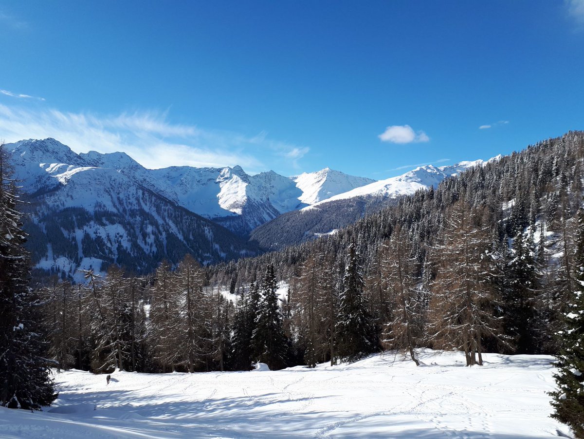 AptValdiSole's tweet photo. Come spiegare il concetto di #libertà, utilizzando un'immagine?! 
Noi ci proviamo così! 😍 https://t.co/ZuQ6saCRyX