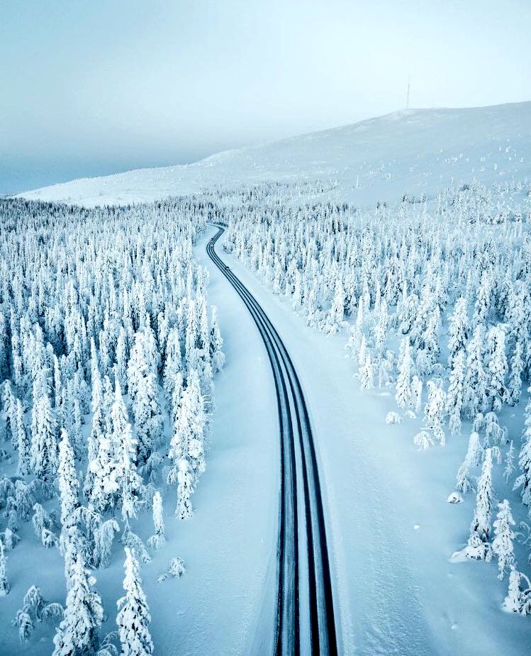 " In every #walk with #nature one receives far more than he/she seeks" John Muir