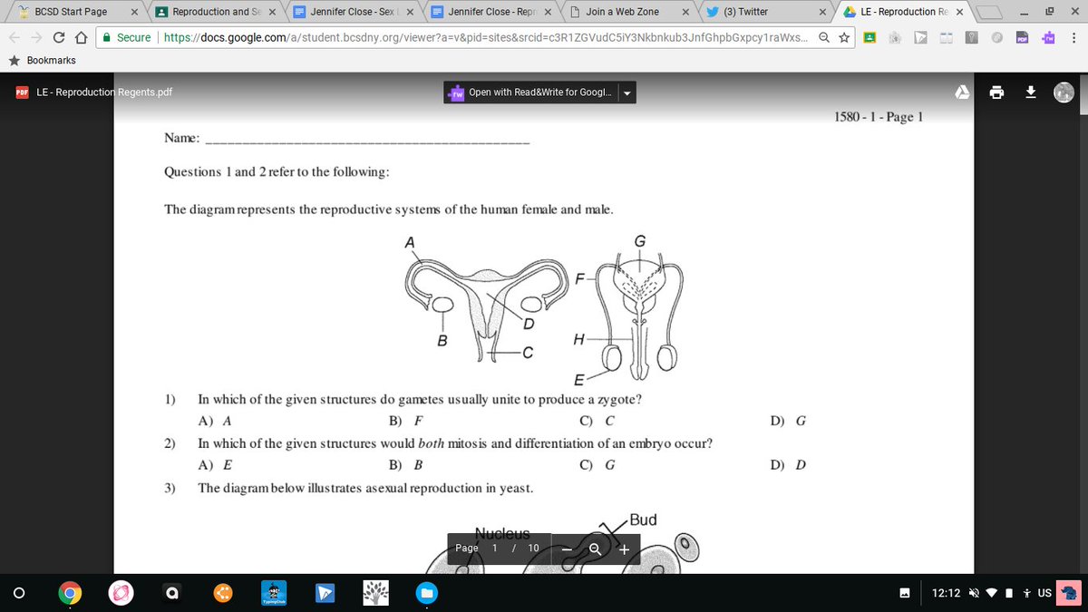 jennyclose_'s tweet photo. #reproanatomy` https://t.co/naOEwjBRMb
