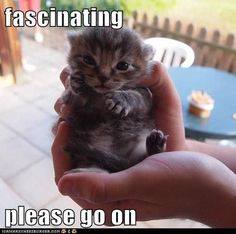 algoglitch's tweet image. Want to know what we learned collecting #algoglitches on Twitter ?
algoglitch.smvi.co/2018-05-02-fou…
Big thanks to @rottytooth 👍