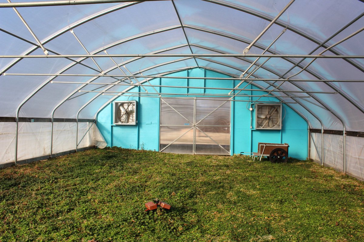 Who else could use some yoga this morning for their #mondaymotivation?? Check out the progress of our Living Yoga Studio with <a href="/YogabuzzSTL/">Yoga Buzz STL</a> ! #EarthDance #LivingYogaStudio