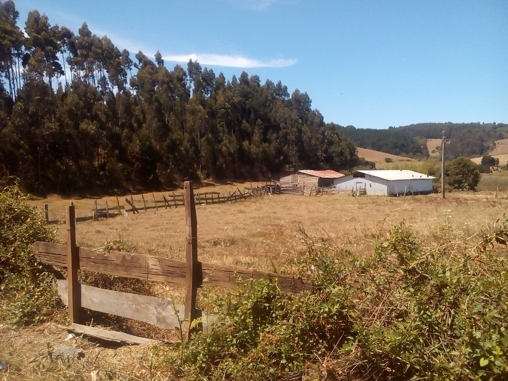 Agent_BlackWhit's tweet photo. Sector Matadero.
Puerto Dominguez.
Proceso Municipalidad La PINCOYA.
#Donde se fusilan Giles.
@GobiernoV @PuebloMapucheCL @GobiernodeChile
#IMPERIOTRANSPARENTE. https://t.co/rO4GiIeNux