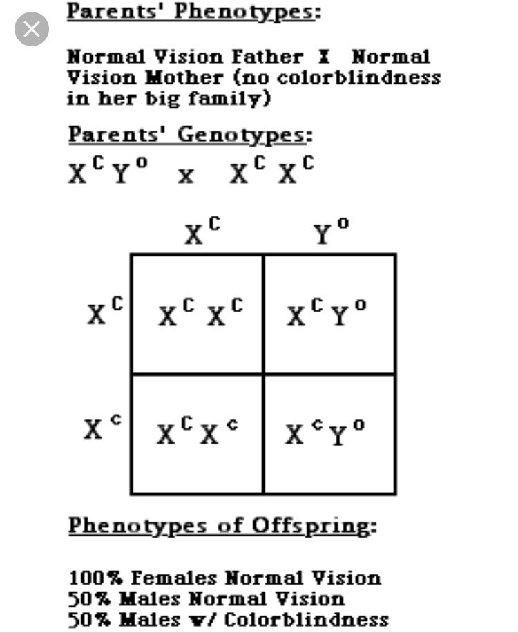 FLHS_caylas's tweet photo. Color blindness is a sex linked trait because it is more common in males. Color blindness is on the x chromosome, which men can only have one of.  #colorblind #sexlinked https://t.co/l0GQlby2eI