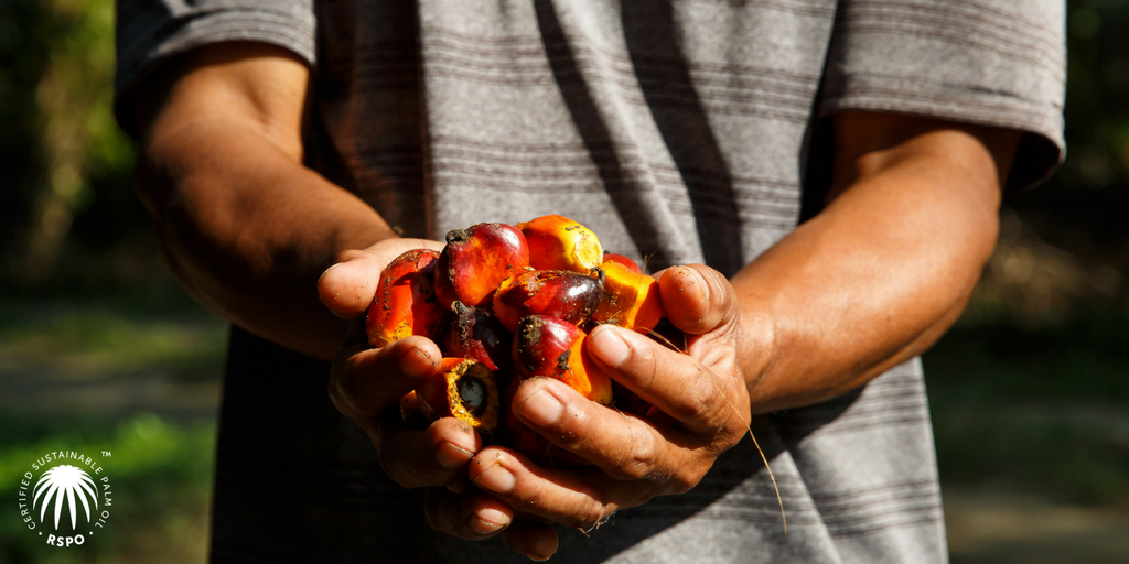 RSPOtweets's tweet photo. La empresa Colombiana @DAABONorganics ha completado la primera venta de los créditos #RSPONEXT de la #RSPO, lo que significa que el #aceitedepalma certificado más #sostenible del mundo ha llegado al
 mercado https://t.co/N20Qkkgeyb https://t.co/hZwa1OVtNQ