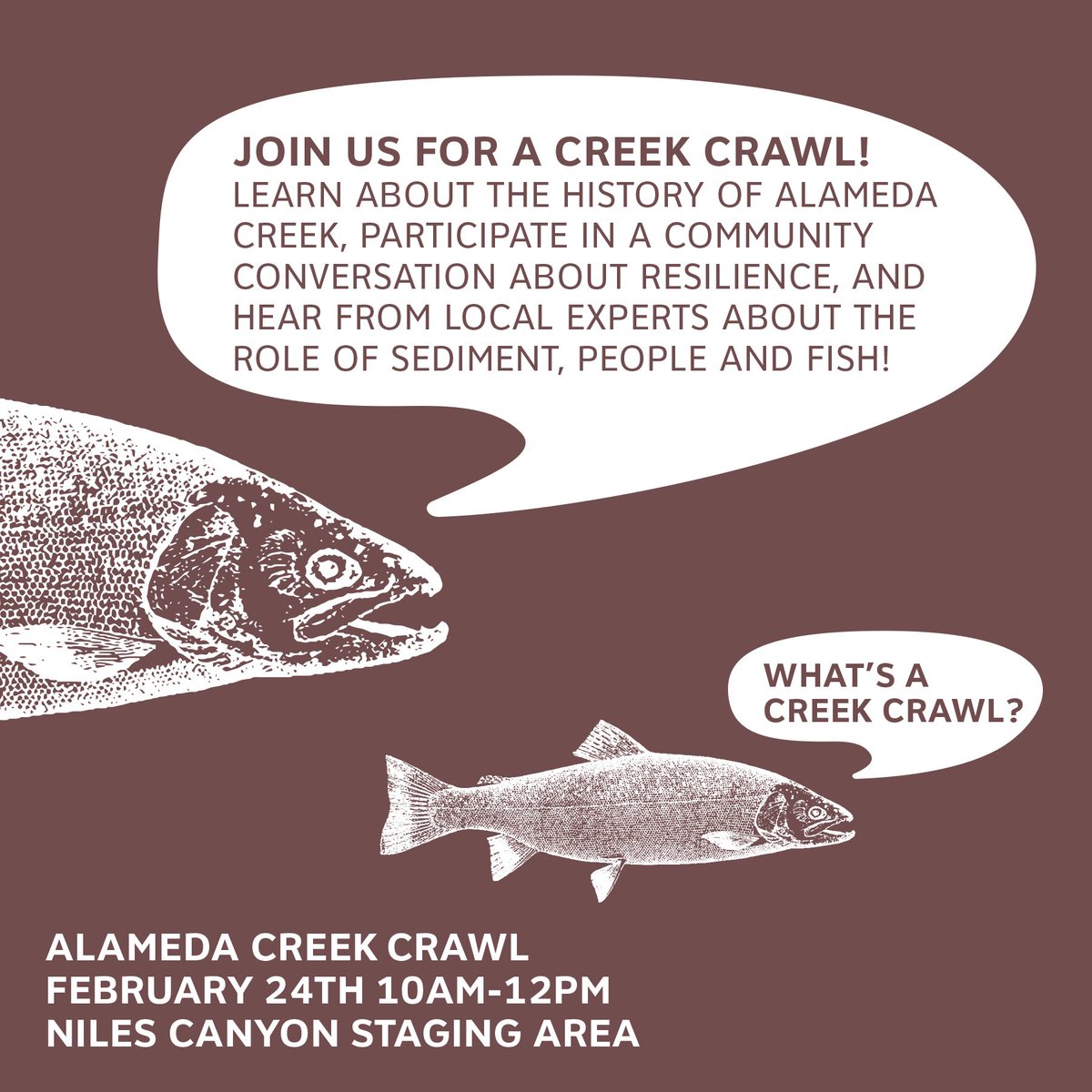 scape_studio's tweet photo. Join the #PublicSediment team for the #CreekCrawl on 2/24 from 10am-12pm (PST). The tour will be led by local experts who will speak about the role of sediment, people, and fish within the Alameda Creek Watershed. Find out more here: https://t.co/IC2TglYozS. @ResilientBay https://t.co/L8l1TI6pKP