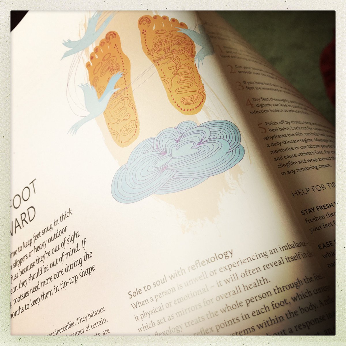 rose_holistic's tweet photo. Great article in #breathmagazine about #caring for your #feet during #winter and it has a write up on #reflexology on page 24 https://t.co/0FPSBRoJ6u