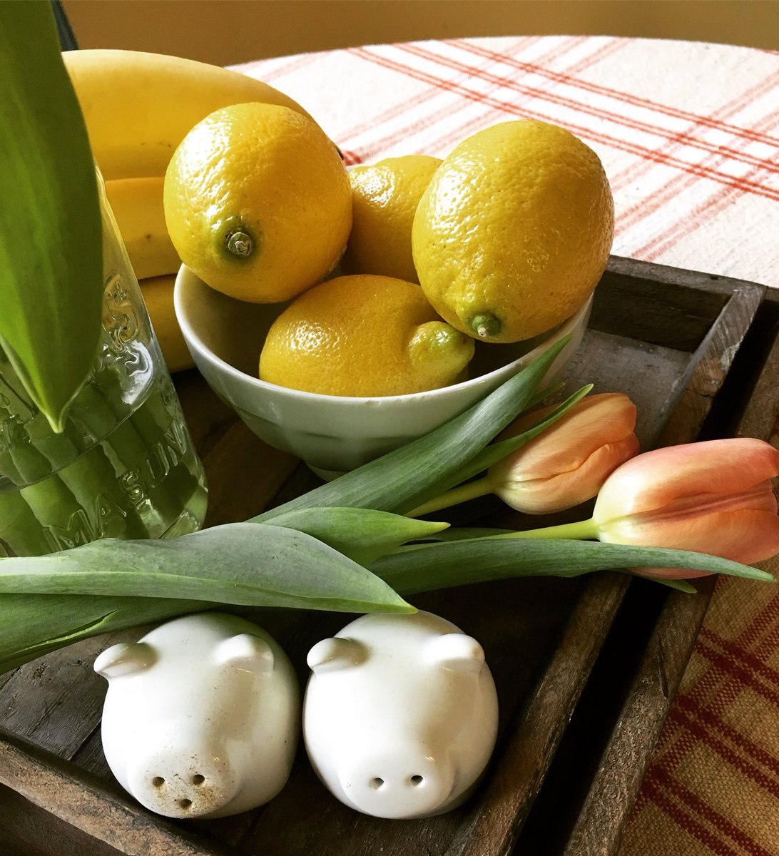Blog_SimpleLife's tweet photo. Tulips, lemons and little piggies. Makin Mondays a little brighter. 
Life is hard sometimes - sick kids, crazy schedules, yucky bills - funny how seeing some tulips and lemons on the kitchen table can make all the difference.

#simplepleasures  #thesimplelife #livesimply https://t.co/ADiI5zy6FN