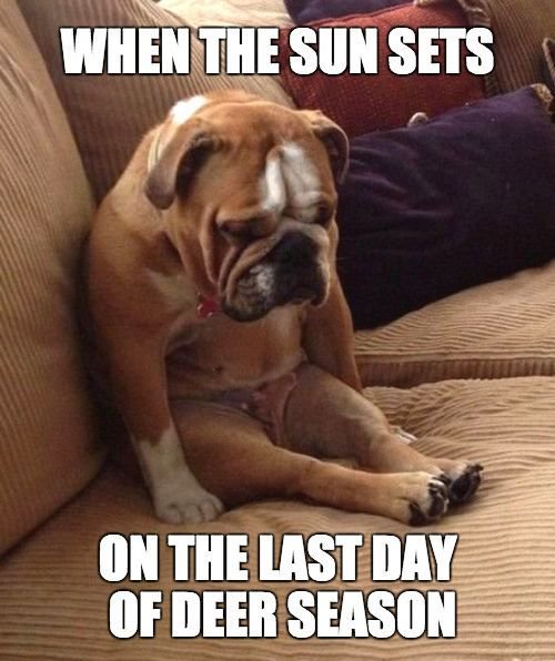 deerassociation's tweet photo. It's a sad day, for sure! #DeerPression https://t.co/QPh0NPsmkl