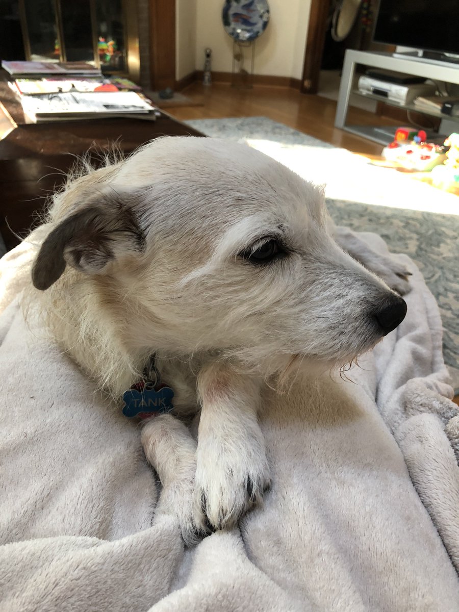 HugUVac tweet picture