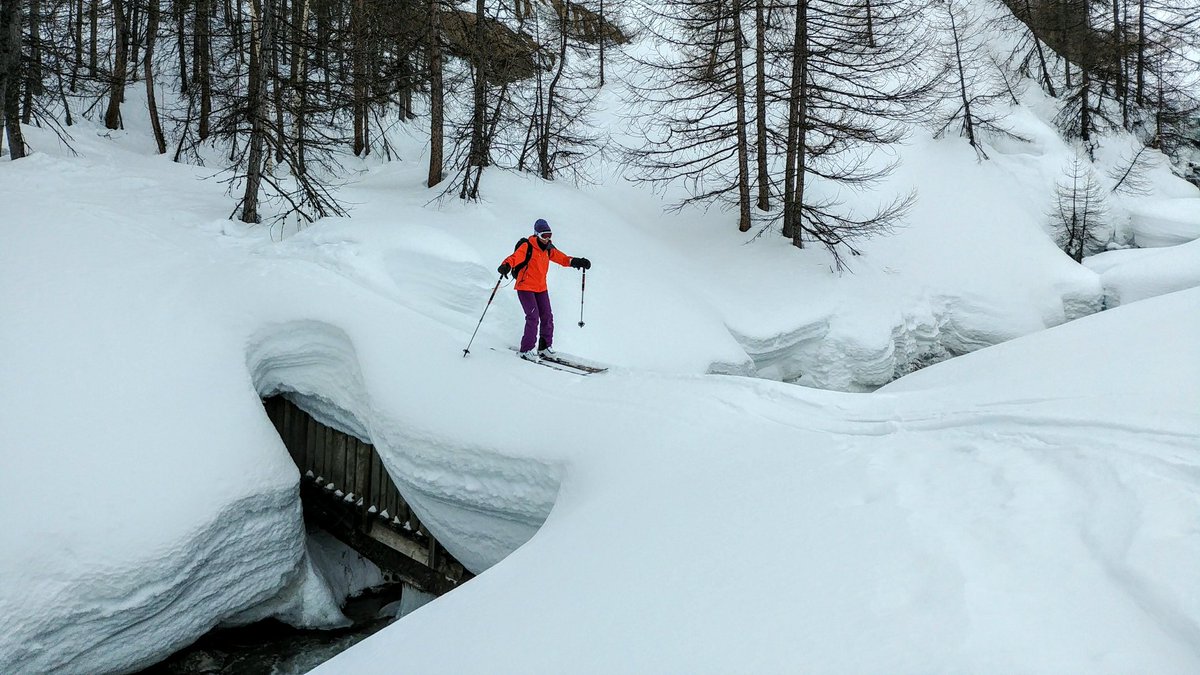 guidespacekilly's tweet image. Le vent de sud-est (effet de foehn) s&apos;est levé, transportant la neige, les malins sont allés skier sous le vent en forêt. Mais attention ce qui était bon aujourd&apos;hui pourrait devenir dangereux demain. Plaques formées par le vent. Le BERA passe à III.