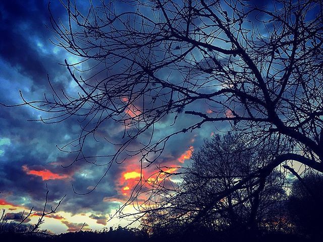 monivalderrama's tweet photo. Aquí no nieva pero crujen los pies y se encapricha el firmamento sin anuncios.
#sky #galicia #hojacaduca #winter #igertw https://t.co/iaGCGbRIXv https://t.co/gD69EYT34C