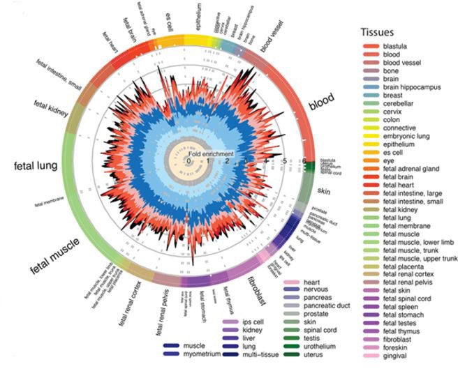 Circulation Research (@circres) on Twitter photo EDITOR PICK:  64 Novel Genetic Loci for Coronary Artery Disease ow.ly/cbsz30i93AP 
#cardilogy #genetics #MolecularMedicine #HeartResearch #coronaryarterydisease
#ComputationalBiology  #genomes #genomics EDITOR PICK:  64 Novel Genetic Loci for Coronary Artery Disease ow.ly/cbsz30i93AP 
#cardilogy #genetics #MolecularMedicine #HeartResearch #coronaryarterydisease
#ComputationalBiology  #genomes #genomics