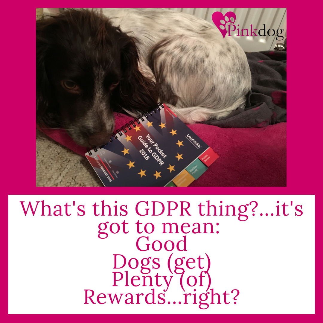 Being #GDPR ready is high on the 'to do' list this week! I'll be pulling together action plans for client's #data sorting. But our Head of cuddle breaks &amp; Security isn't happy: instagram.com/pinkdogservice…
#smallbusinesses #virtualassistant #gdprready #adminsupport #smallbusinessowner