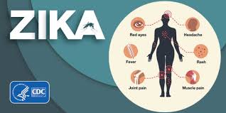 FLHS_Chris's tweet photo. Zika is a disease that is transmitted through mosquito bites. The virus is transmitted through childbirth and can cause the baby to have many birth defects such as a small head, weakened joints and even restricted muscle movement 
#Zika #IHateMosquitos https://t.co/asJwXHmlBE