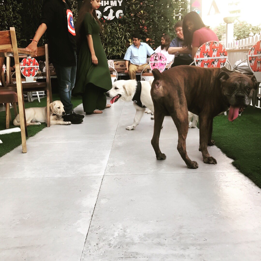 superstardexter's tweet photo. From my happy bday https://t.co/hzYnjsDnRW