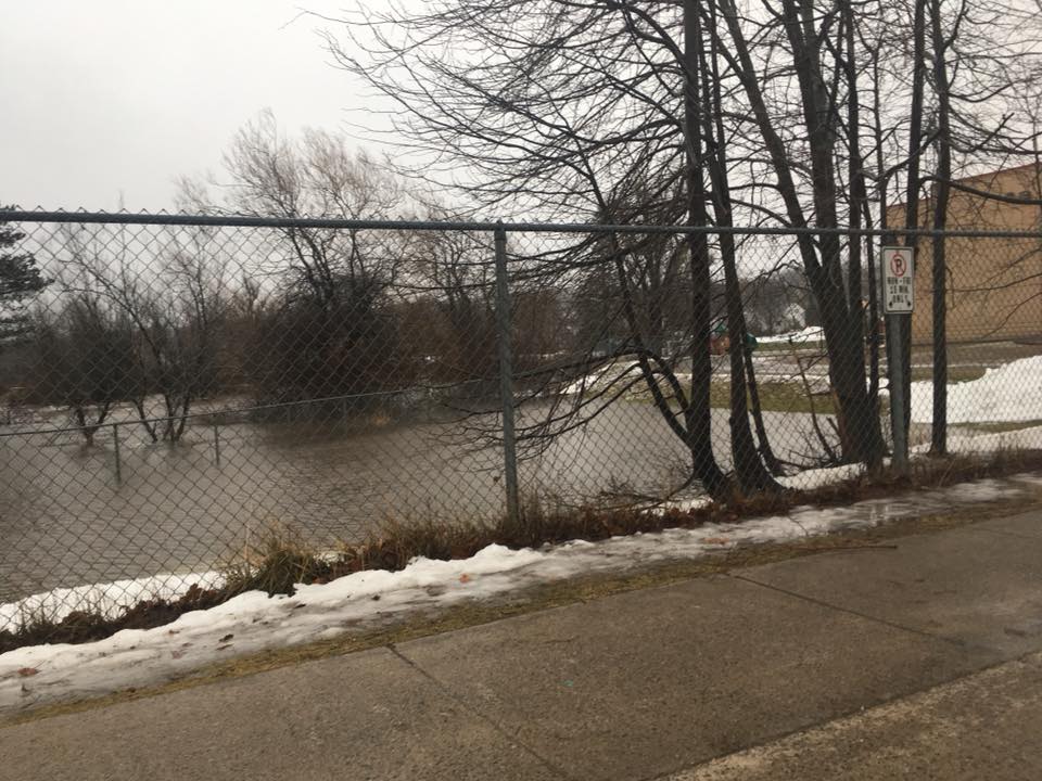 Steven Rolls tweet media