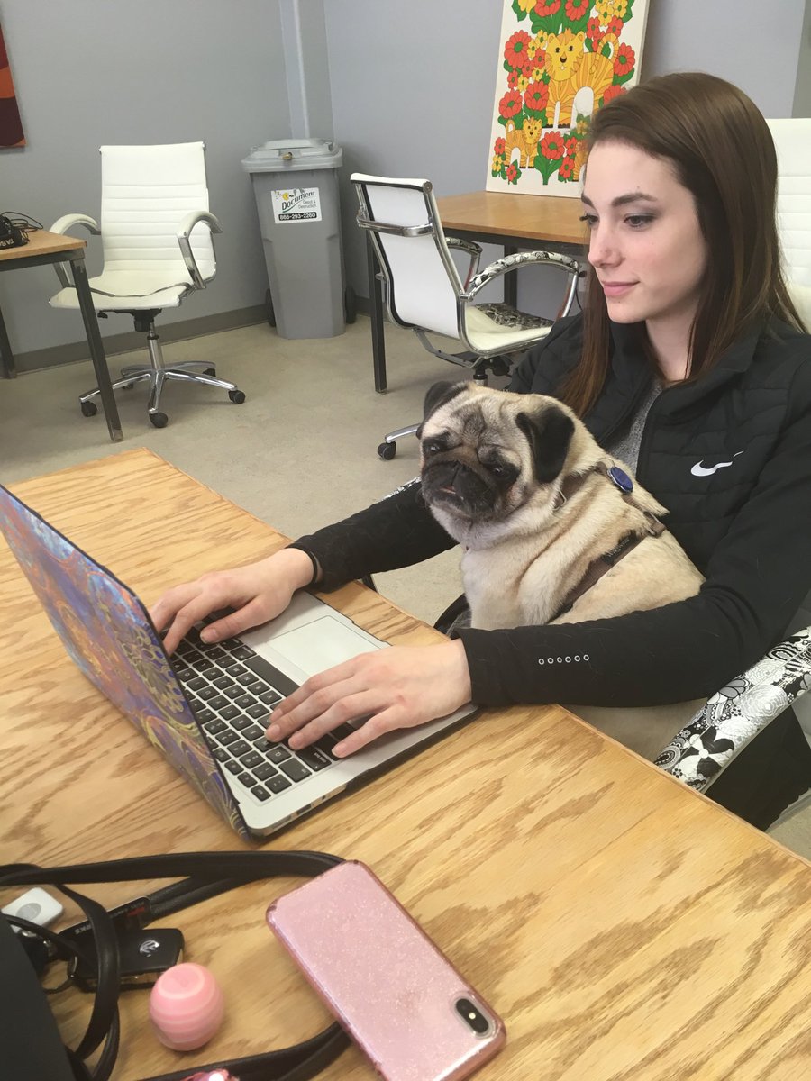 It’s a good day for a snuggle while working. #chilly #lapdog @locatesioux <a href="/squishypug/">Squishy Pug, CGC</a> <a href="/lienwaivers/">lienwaivers.io</a>