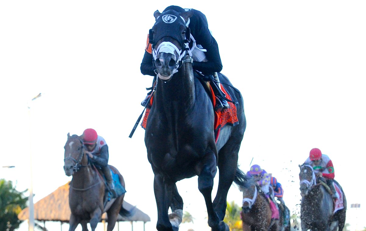 Stable_Battles's tweet photo. Have you ever dreamt of owning a race horse? We can make that dream a reality! Play #StableBattles, the free fantasy horse racing game and you could win an ownership stake in a real thoroughbred.

Head to https://t.co/g1uFGMBMQ4 to read the official rules. https://t.co/m1GEJqtToU