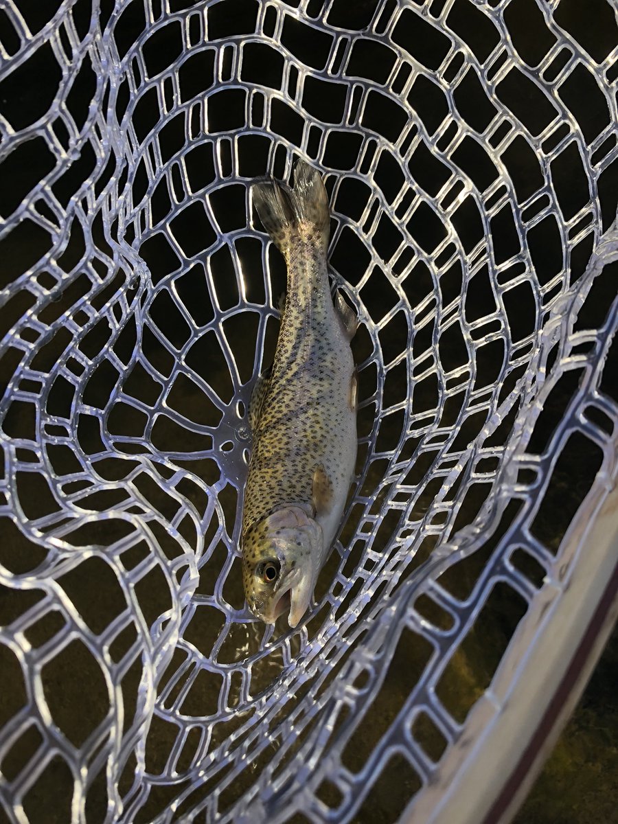 highcountryfly's tweet photo. Whoβs ready for spring fishing?? #iswinterover? #spring #fishing #flyfishing #orvis #simms #catchandrelease #browntrout #rainbow #foscoe #elkriver #watauga https://t.co/2Rr6qD0fz0