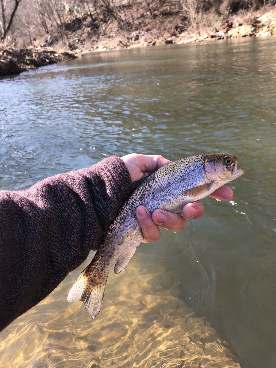 highcountryfly's tweet photo. Whoβs ready for spring fishing?? #iswinterover? #spring #fishing #flyfishing #orvis #simms #catchandrelease #browntrout #rainbow #foscoe #elkriver #watauga https://t.co/2Rr6qD0fz0