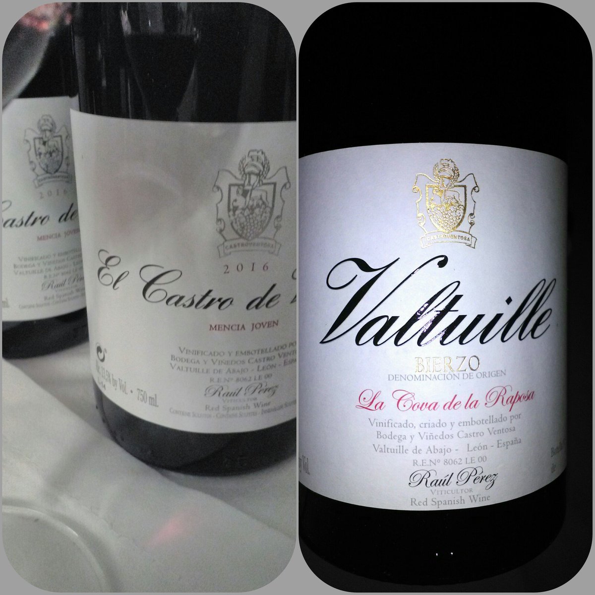 SpainMsGonzalez's tweet photo. @Castroventosa 
Muchas gracias por vuestra amabilidad y sencillez, 
D. Alvaro.
Ahí radica la verdadera https://t.co/WJAwqOzlbw me guío por medallas internacionales.
Espero poder visitar más veces el Bierzo. https://t.co/GzwKM3XKxR