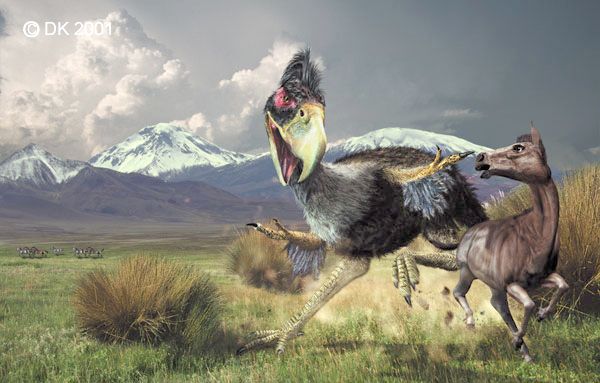 TechUserToday's tweet photo. #Brontornis, or the 'terror bird' lived in #Argentina during the #Miocene and stood at 1.75 meters tall -- but it could raise its head to 2.8 meters! https://t.co/L19rJIV2ni #extinct #extinctanimals #extinctcreatures #bird #birds #prehistoric #biology #zoology #history