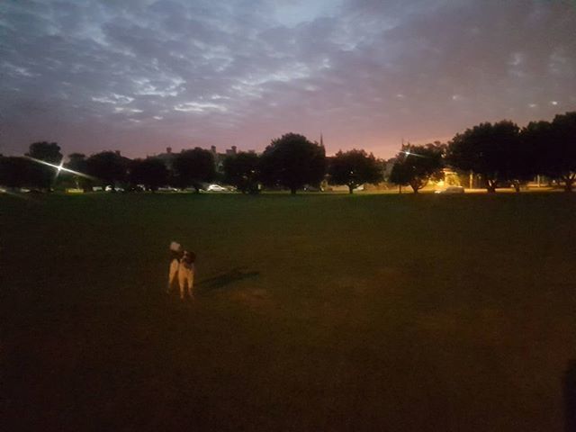 MiaReadsBooks's tweet photo. What a sky! #dawn #morning #Melbourne
#sunrise #redsky #morningpeople #600am
#dailydog #dogoftheday #instadog #dogs #dogsofMelbourne #happydog #dogsofinstagram #dogs_of_instagram #doglover #OhMyDog #lovedogs #doglife #petlife #playtime #parklife #schno… https://t.co/VrzAhGtlnM https://t.co/z0gjsiDUMr