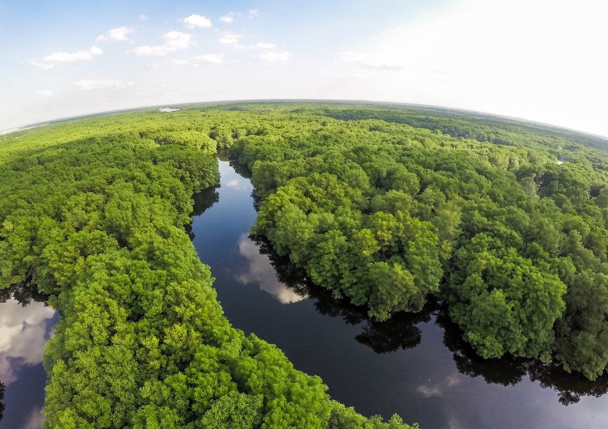 unep_espanol's tweet photo. ¡Bien! Ciudadanos ecuatorianos deciden en referéndum restringir la exploración petrolera en el parque nacional #Yasuní, una joya de la biodiversidad mundial. Allí aún viven pueblos en aislamiento voluntario.  https://t.co/qZIqsiwmq5 https://t.co/H9jqHZYvxB