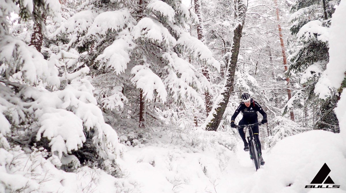 DIETSCH Thomas tweet media