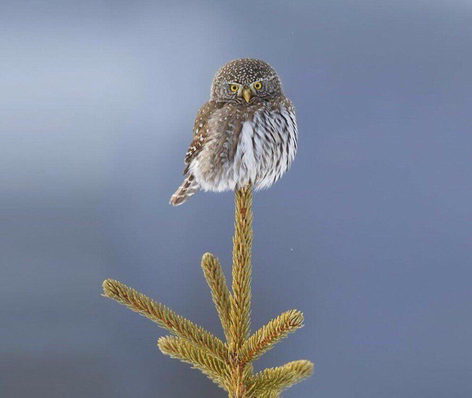 youminimalism's tweet photo. https://t.co/P7MYgDhTIv