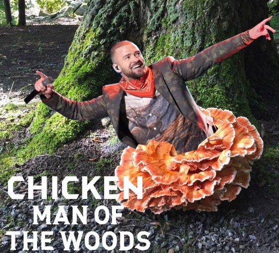 makeitwithSteph's tweet image. fungus humor @jtimberlake