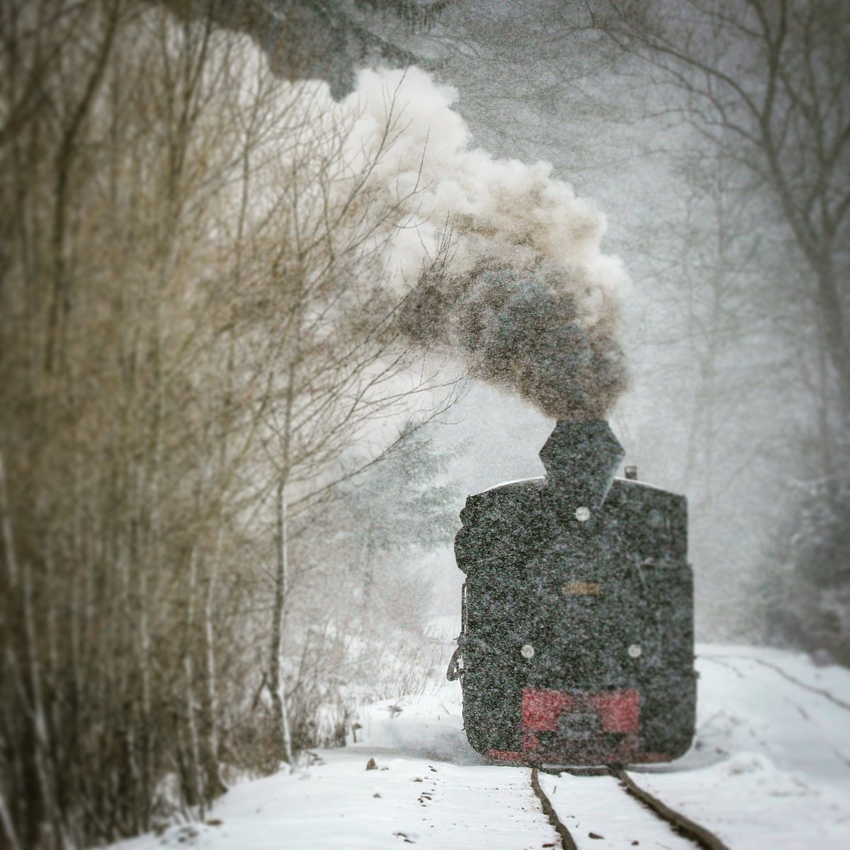kfbu's tweet photo. Steaming ahead through the mountains in search of the snow. And we found it in different shapes.
#mocanita #steam https://t.co/dljU8HPOkD