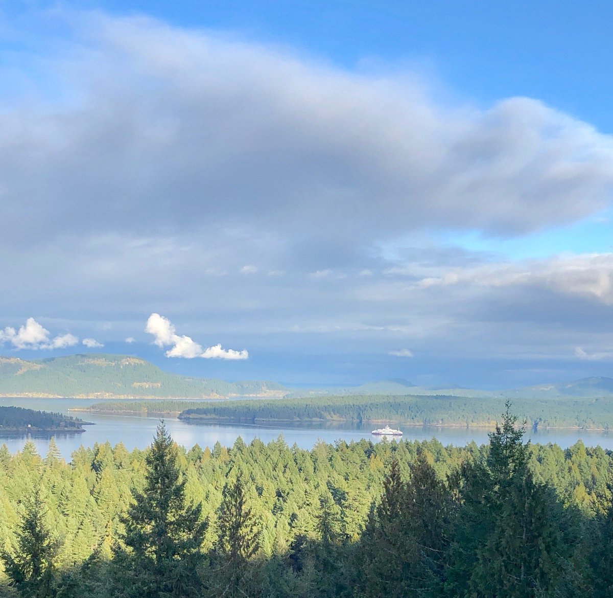 Raffi_RC's tweet image. afternoon ferry.  #SaltSpring