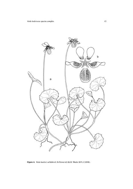 bhl_au's tweet photo. Botanists rejoice! We're putting even more issues of "Muelleria" onto @BioDivLibrary. Via @RBG_Victoria &amp; @atlaslivingaust #OpenAccess #InCopyright https://t.co/1gY4rgh3AR https://t.co/qok6C8FLzI