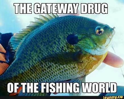Sleepy_Fish_'s tweet photo. Like and share!

Welcome to https://t.co/7u3eNEMZuo

#fishingtrip #fun https://t.co/97NZAiCfOW