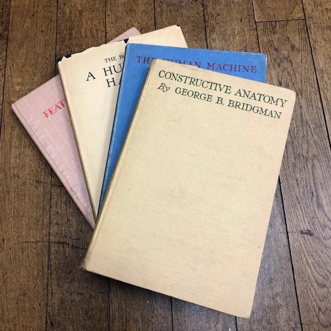 ニューヨーク学生連盟の素描講師ジョージ・ブリッジマン。1920年代からデッサンやクロッキー向けのハウツー美術解剖学書を多数執筆し、その後の体験型美術解剖学講座の流れを作った。彼の図版は、短時間で要点を把握するように描かれている。#美術解剖学 