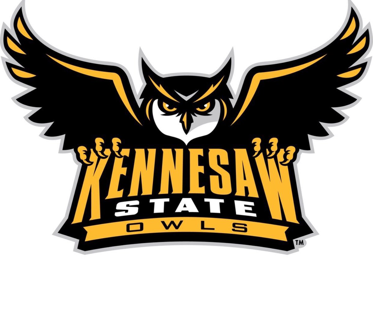 mattol57's tweet photo. Excited to be able to say that I am committed to Kennesaw State University! #OWLNAT18N https://t.co/fiLxt5mbNx