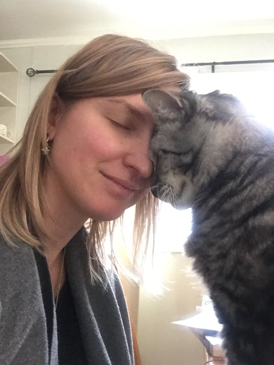 fishcat_long's tweet image. Boris helping me with my illustrations for my book! Good thing I was in the sketching stage, not the painting! #writerslife #illustration #catshelp #editingstage