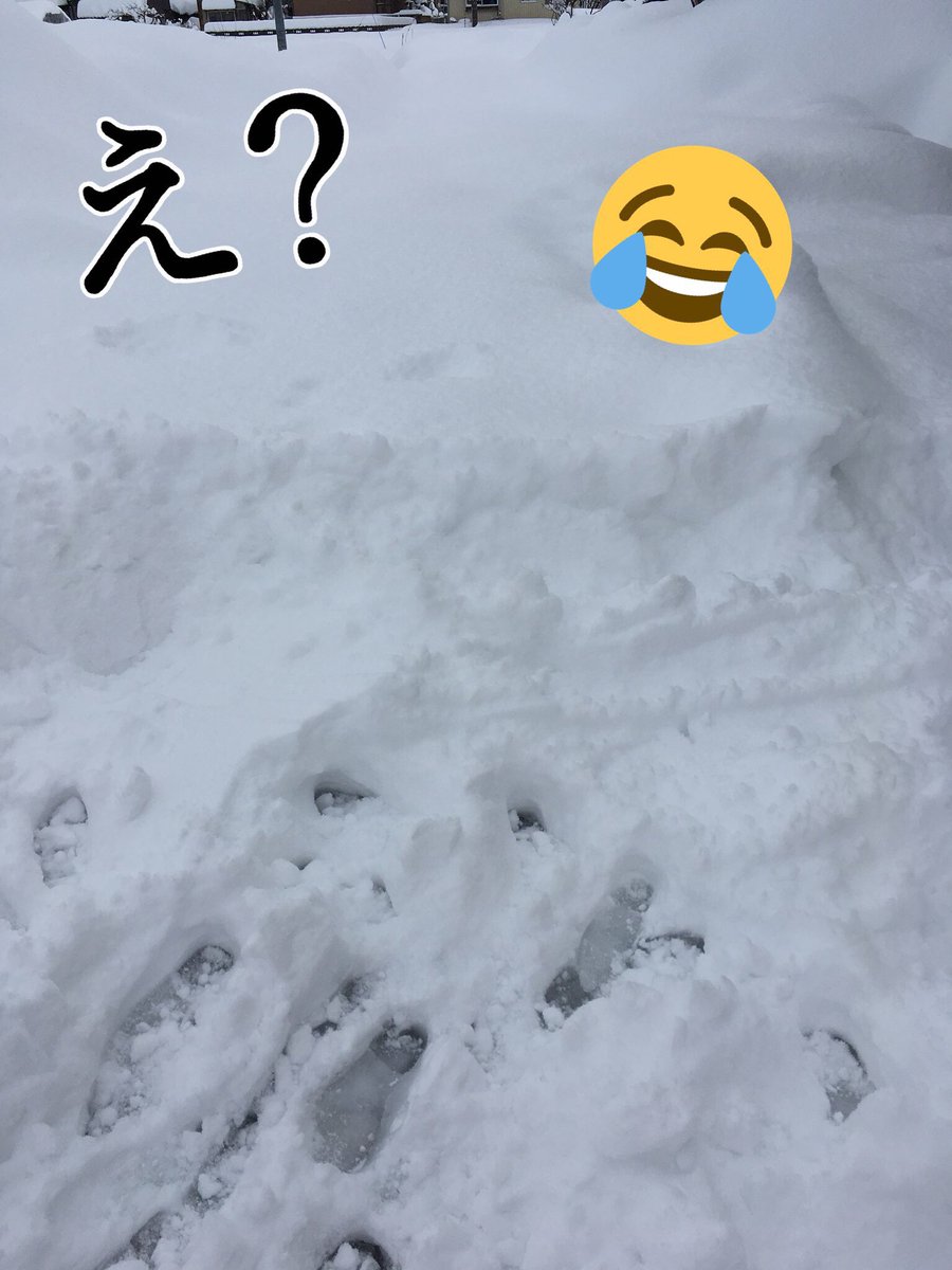 E9 99 E9 9b E8 8a 81 Af Cerca Al Twitter