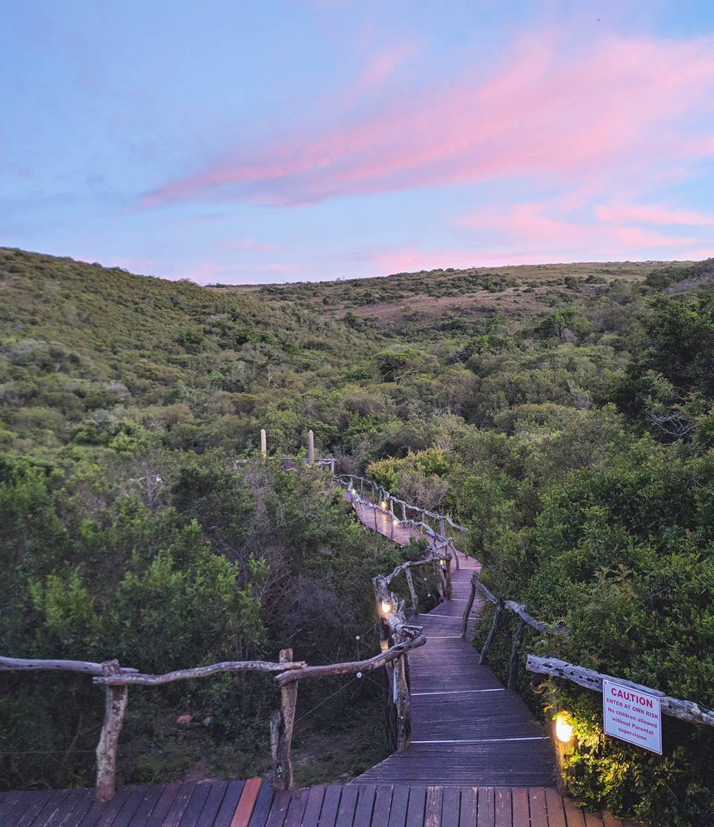 SouthAfrica's tweet photo. Go ahead and add "watch a South African safari sunrise" to your 2018 bucket list. #WowSouthAfrica 📸 : IGer chumdinger https://t.co/5Ydsv6N4Yx
